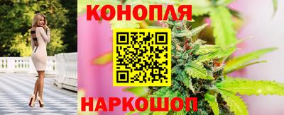 гашик Аргун